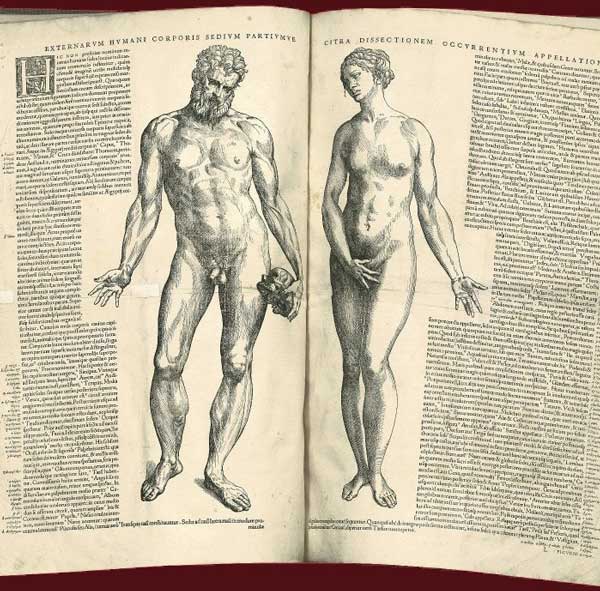 Cuerpo Humano hombre y mujer Cuerpo Humano hombre y mujer