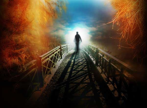 La Conciencia de la vida, la Conciencia de la muerte La Conciencia de la vida, la Conciencia de la muerte