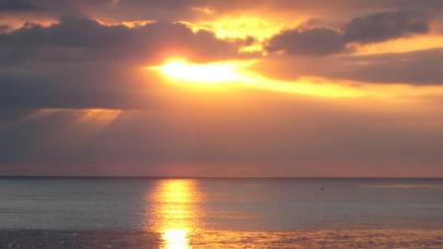 Amanecer Red Milenaria Amanecer Red Milenaria