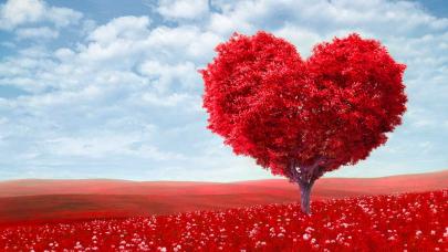 Del temor al amor, tan solo es cuestión de cambiar las letras Campo rojo con árbol rojo en forma de corazón