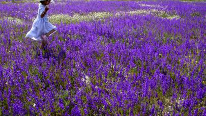 Bienvenidos de nuevo a Red Milenaria