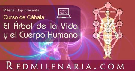 Curso El Árbol de la Vida y el cuerpo humano Ilustración del Curso El Árbol de la Vida y el cuerpo humano